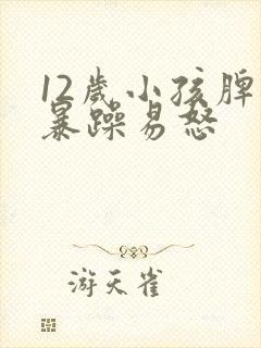 12岁小孩脾气暴躁易怒