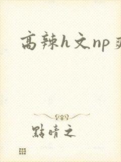 高辣h文np爽
