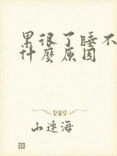 累很了睡不着是什么原因