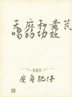 天麻和黄芪泡水喝的功效