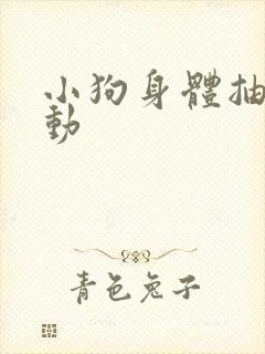 小狗身体抽搐抖动