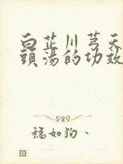 白芷川芎天麻鱼头汤的功效