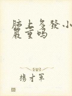 肺上多发小结节严重吗