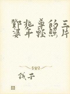 邓兆尊的三个老婆年轻照片