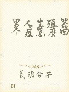 男人生殖器长了个痘怎么回事