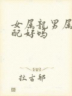 女属龙男属马婚配好吗