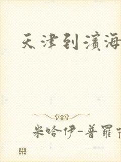 天津到滨海货运