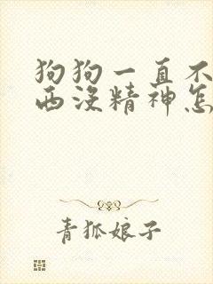 狗狗一直不吃东西没精神怎么办封面