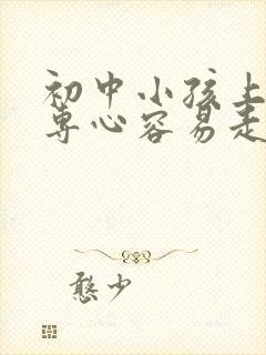 初中小孩上课不专心容易走神是什么原因