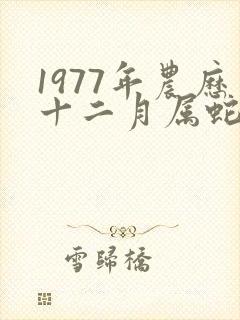 1977年农历十二月属蛇的是什么命