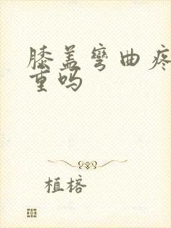 膝盖弯曲疼痛严重吗