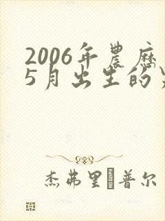 2006年农历5月出生的男孩命运怎么样
