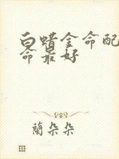 白蜡金命配什么命最好