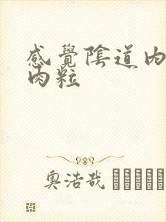 感觉阴道内有小肉粒