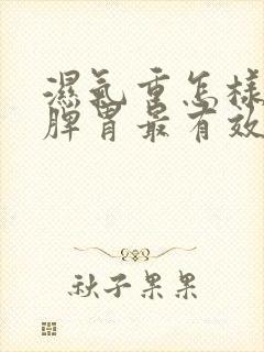 湿气重怎样调理脾胃最有效封面