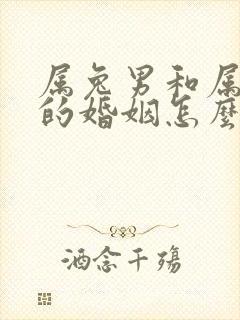 属兔男和属龙女的婚姻怎么样