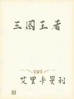 三国王者封面