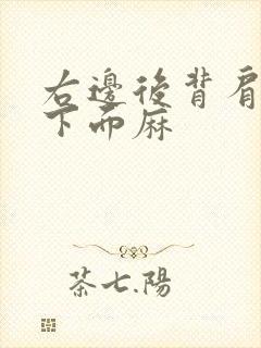 右边后背肩胛骨下面麻