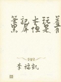 笔记本玩着玩着黑屏但是有声音