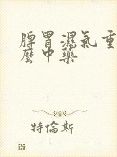 脾胃湿气重吃什么中药