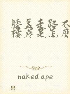 膝盖走路不疼上楼疼是怎么回事封面