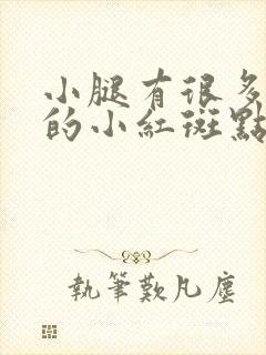 小腿有很多红色的小红斑点怎么回事封面