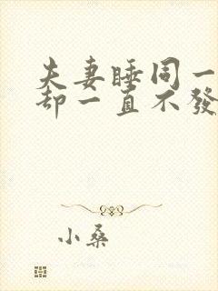 夫妻睡同一张床却一直不发生什么封面