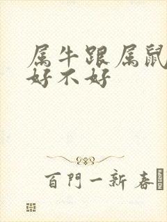属牛跟属鼠婚配好不好封面