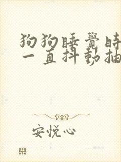 狗狗睡觉时候腿一直抖动抽搐