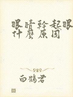 眼睛干起眼屎是什么原因