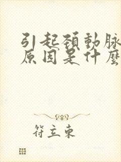 引起颈动脉斑块原因是什么