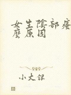 女生阴部瘙痒什么原因