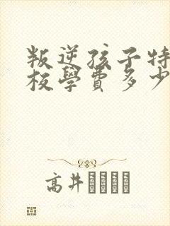 叛逆孩子特训学校学费多少钱