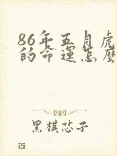 86年五月虎女的命运怎么样