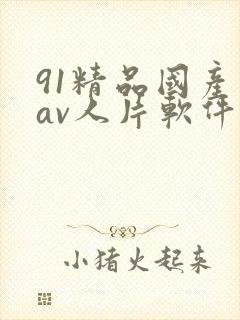91精品国产成av人片软件