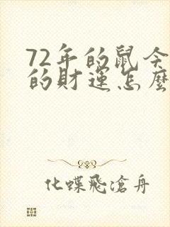 72年的鼠今年的财运怎么样