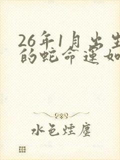 26年1月出生的蛇命运如何封面