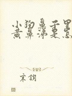 小狗鼻子里流浓黄鼻涕是怎么回事封面