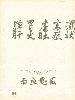 脾胃虚寒湿气重肝火旺症状