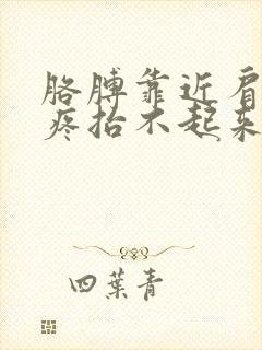 胳膊靠近肩膀处疼抬不起来封面