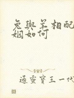 兔与羊相配的婚姻如何封面