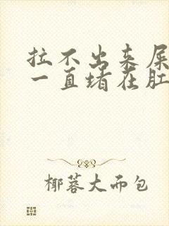 拉不出来屎感觉一直堵在肛门