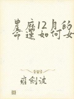 农历12月的牛命运如何女生封面