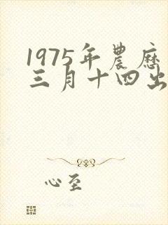 1975年农历三月十四出生命运