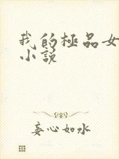 我的极品女老师小说