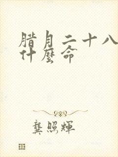 腊月二十八男孩什么命