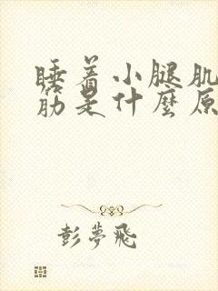 睡着小腿肌肉抽筋是什么原因引起的