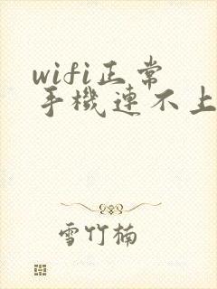 wifi正常 手机连不上网怎么办