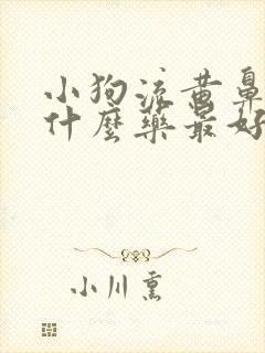 小狗流黄鼻涕吃什么药最好