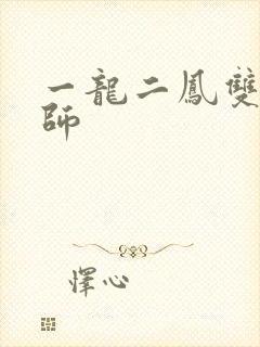 一龙二凤双飞老师